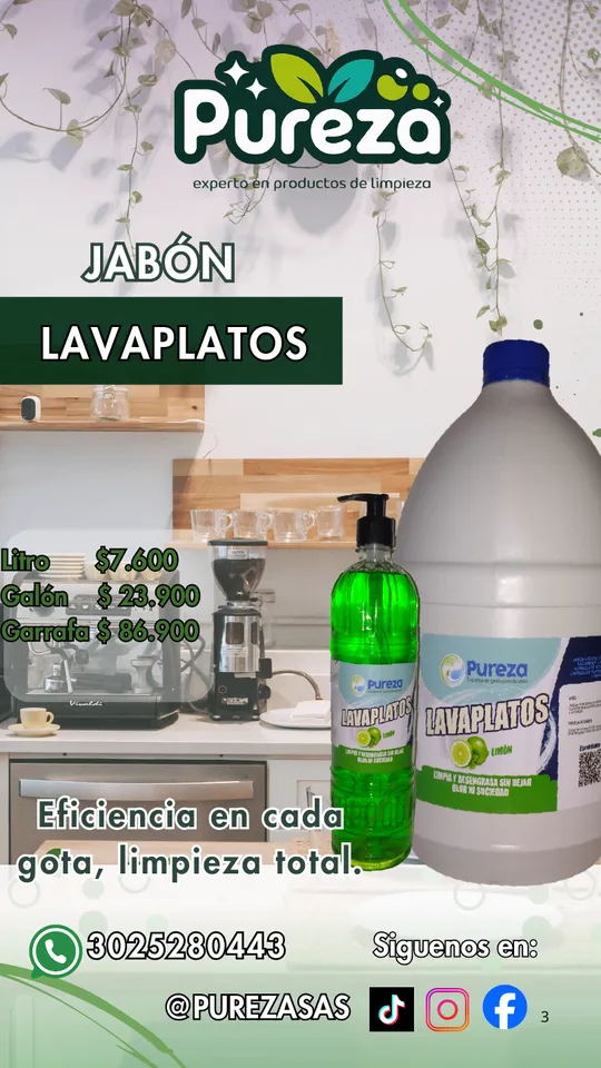 Detergente lavaplatos — presentación